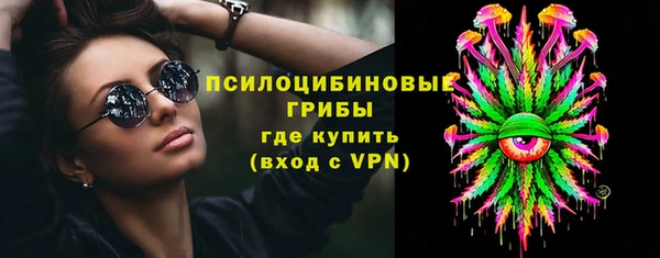 мдпв Снежногорск