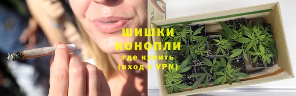 гидра Мензелинск