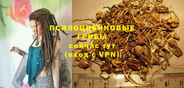 ГАЛЛЮЦИНОГЕННЫЕ ГРИБЫ Снежинск
