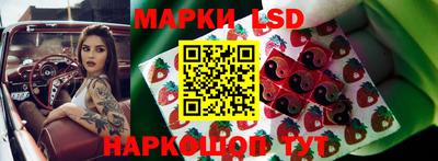 ПСИЛОЦИБИНОВЫЕ ГРИБЫ Гусев