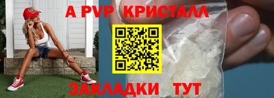 ПСИЛОЦИБИНОВЫЕ ГРИБЫ Гусев