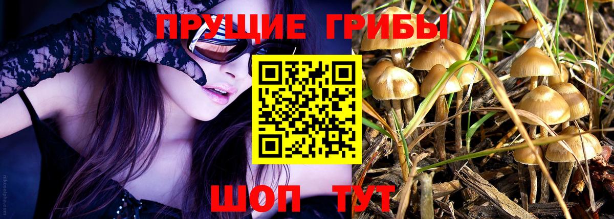 Псилоцибиновые грибы ЛСД Спасск-Дальний