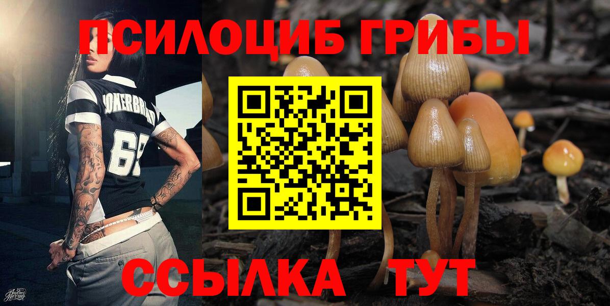 Псилоцибиновые грибы Cubensis  Спасск-Дальний  Псилоцибиновые грибы Cubensis 