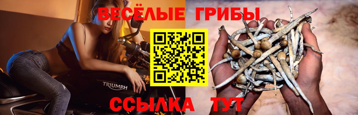 Галлюциногенные грибы MAGIC MUSHROOMS Спасск-Дальний